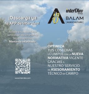 DIPTICO BALAM 1