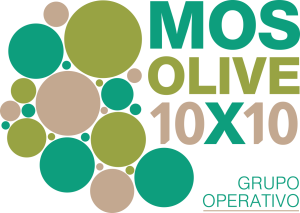 Proyecto Mosolive 10x10